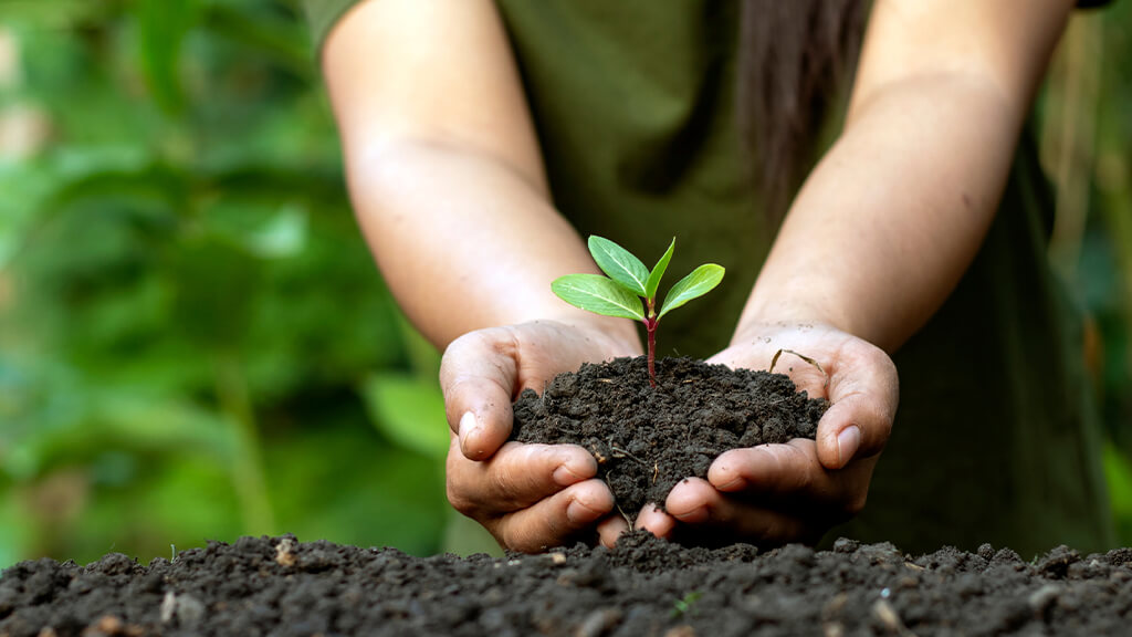 Mani che lavorano la terra