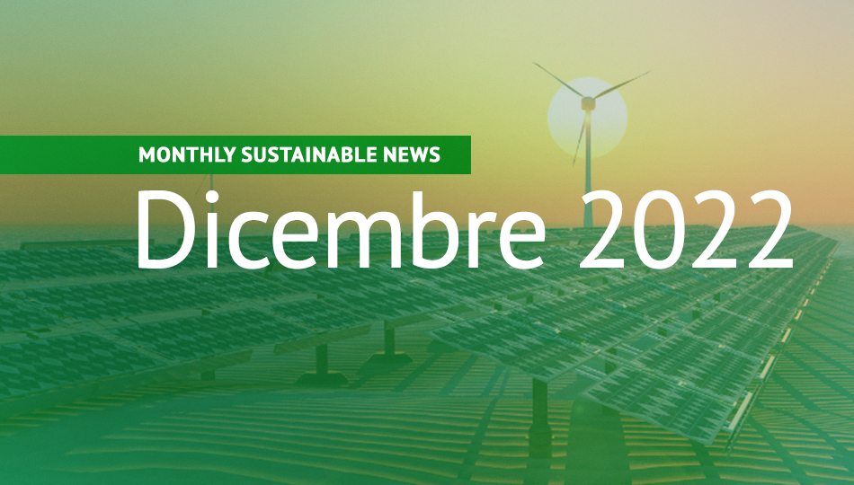 Approfondimenti sulla sostenibilità – Dicembre 2022