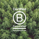 Cosa significa essere B Corp nel 2023