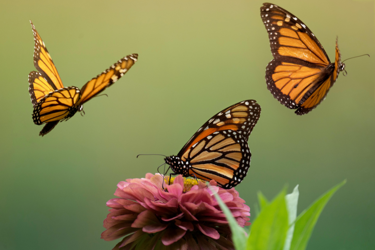 Produrre sostanza etica