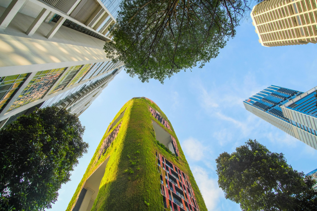 Palazzo green Palazzo green